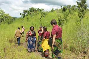 gallery-img-05-free-img-300x197